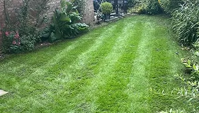 lawn-care-case-study-crowthorne-berkshire